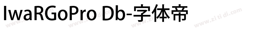IwaRGoPro Db字体转换